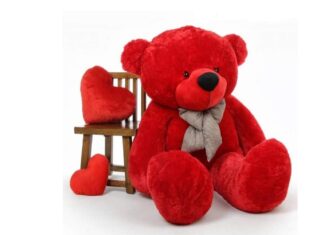 Teddy Day 2026: From plush red to giant TEDDY, Here are Cute Bear ideas to gift Your Valentine Teddy Day 2026: From plush red to giant TEDDY, Here are Cute Bear ideas to gift Your Valentine