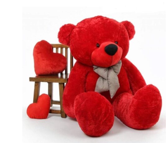 Teddy Day 2026: From plush red to giant TEDDY, Here are Cute Bear ideas to gift Your Valentine Teddy Day 2026: From plush red to giant TEDDY, Here are Cute Bear ideas to gift Your Valentine