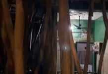 Political Tension in Jaipur as BJP and Congress MLAs Confront Each Other Over Tomb Roof