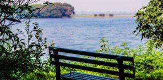 Top 10 Places to Visit Near Delhi Within 500 km for a Weekend Trip Top 10 Places to Visit Near Delhi Within 500 km for a Weekend Trip