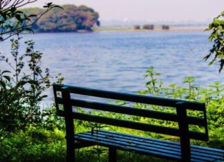 Top 10 Places to Visit Near Delhi Within 500 km for a Weekend Trip Top 10 Places to Visit Near Delhi Within 500 km for a Weekend Trip