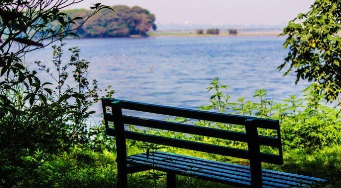 Top 10 Places to Visit Near Delhi Within 500 km for a Weekend Trip Top 10 Places to Visit Near Delhi Within 500 km for a Weekend Trip