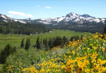 What Is ‘Alpine Divorce’? Why Is This Terrifying Trend Going Viral? These days, the formation and breakdown of relationships has become increasingly common.