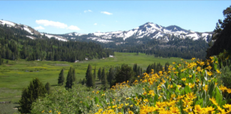 What Is ‘Alpine Divorce’? Why Is This Terrifying Trend Going Viral? These days, the formation and breakdown of relationships has become increasingly common.