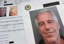 Emails Leak Adds New Angle to Epstein Case, Model Agent Under Scrutiny