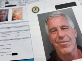 Emails Leak Adds New Angle to Epstein Case, Model Agent Under Scrutiny