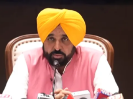 Punjab Ready to Act as Crisis Solver, Will Dispatch Grain Nationwide; CM States: No Shortage of Petrol or Diesel