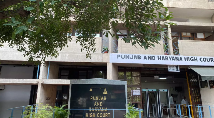 High Court strict on illegal chit funds, denies legal protection