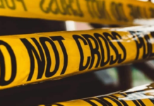 Delhi Murder Case: Ex-Worker Arrested After Violent Attack in Kailash Hills