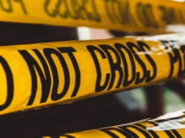 Delhi Murder Case: Ex-Worker Arrested After Violent Attack in Kailash Hills