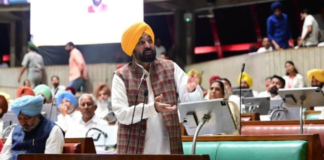 Action was taken against Raghav Chadha for going against party whip; such changes are made by all parties: Bhagwant Singh Mann AAP has declared the removal of Punjab Rajya Sabha MP Raghav Chadha as deputy leader as routine disciplinary action.