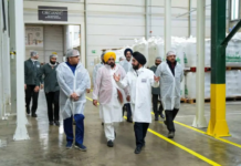 Punjab CM Mann Expresses Keen Interest In Adopting Dutch Model Of Floriculture To Enhance Farmer Incomes CM Bhagwant Mann also called for expediting collaboration between Dutch multinationals and Punjab Agricultural University