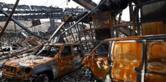 Ceasefire Announced, But India Tells Citizens: Leave Iran Without Delay