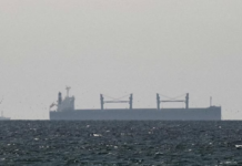 Tense Waters: Indian and Pakistani Navies Draw Close Near Hormuz Strait