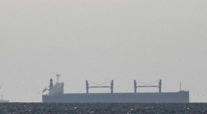 Tense Waters: Indian and Pakistani Navies Draw Close Near Hormuz Strait