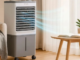 Cooler Smelling Like Rotten Fish? Try This Simple Trick To Get Fresh Air In Minutes The reason behind this rotten fish smell in cooler is due to using the same water for days, dirty pads, and accumulated dirt in the tank.