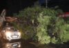 Dust Storms Leave 89 Dead Across Uttar Pradesh, CM Yogi Announces Compensation Dust Storms Leave 89 Dead Across Uttar Pradesh, CM Yogi Announces Compensation