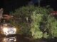 Dust Storms Leave 89 Dead Across Uttar Pradesh, CM Yogi Announces Compensation Dust Storms Leave 89 Dead Across Uttar Pradesh, CM Yogi Announces Compensation