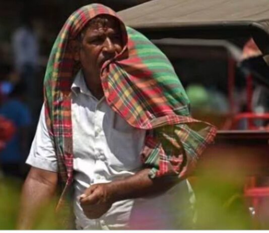 Weather Forecast: When Will North India Get Relief From Heatwave? Know IMD Rain Alert Weather Forecast: When Will North India Get Relief From Heatwave? Know IMD Rain Alert