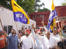 AAP Sweeps Punjab Civic Polls, Congress, SAD And BJP Suffer Major Setback AAP Sweeps Punjab Civic Polls, Congress, SAD And BJP Suffer Major Setback