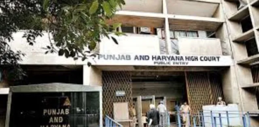 Punjab Police Submits Statement of Deceased Person in Charge Sheet; High Court Orders Inquiry