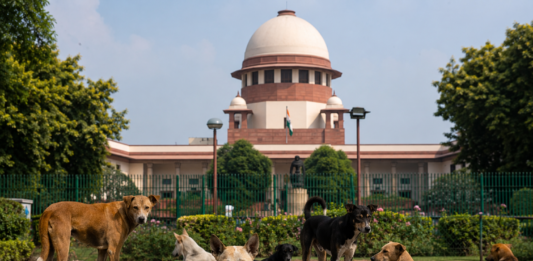SC Stands Firm on Order to Shift Stray Dogs Away From Schools, Colleges and Hospitals