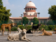 SC Stands Firm on Order to Shift Stray Dogs Away From Schools, Colleges and Hospitals