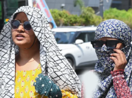 Temperature Crosses 47 Degrees in Faridkot, Heatwave to Continue for Next Seven Days; Advisory Issued