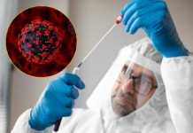 Suspected Ebola Infection in Bengaluru Sparks Panic, Woman Under Observation