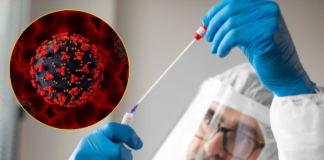 Suspected Ebola Infection in Bengaluru Sparks Panic, Woman Under Observation