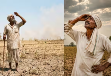 Bad News for Monsoon! IMD Flags Less Rainfall, Heatwave Risk Set to Rise