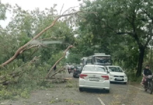 Punjab’s weather changes with wind and rain; Meteorological department issues alert till May 8