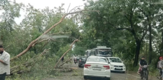 Punjab’s weather changes with wind and rain; Meteorological department issues alert till May 8