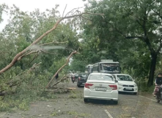 Punjab’s weather changes with wind and rain; Meteorological department issues alert till May 8