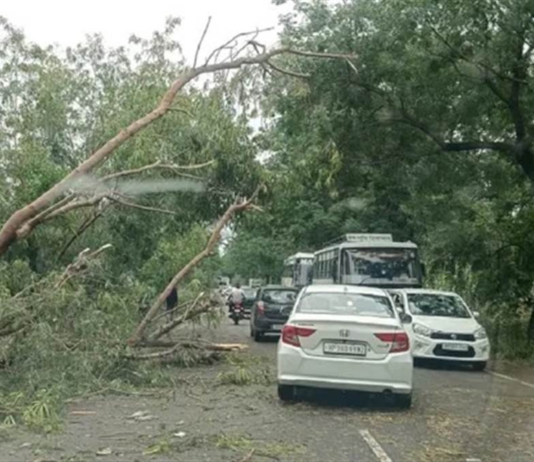 Punjab’s weather changes with wind and rain; Meteorological department issues alert till May 8