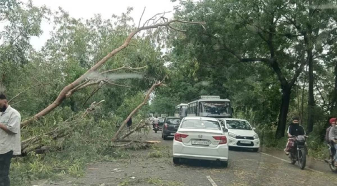 Punjab’s weather changes with wind and rain; Meteorological department issues alert till May 8