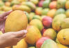 PM Modi Showcases Diversity Of Indian Mangoes, From Alphonso To Langra PM Modi Showcases Diversity Of Indian Mangoes, From Alphonso To Langra