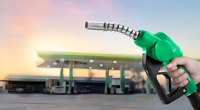 Fuel Rate Update: Petrol Hits Rs 115, Diesel Crosses Rs 104 , Check Today’s Prices Fuel Rate Update: Petrol Hits Rs 115, Diesel Crosses Rs 104 , Check Today’s Prices