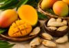 Before You Toss The Mango Seed Away: Know About These Hidden Facts Why You Should Keep Them Before You Toss The Mango Seed Away: Know About These Hidden Facts Why You Should Keep Them