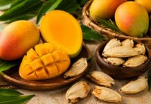 Before You Toss The Mango Seed Away: Know About These Hidden Facts Why You Should Keep Them Before You Toss The Mango Seed Away: Know About These Hidden Facts Why You Should Keep Them