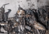 Delhi: Building Blaze in Tughlaqabad Leaves 3 Dead Delhi: Building Blaze in Tughlaqabad Leaves 3 Dead