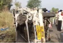 Punjab: 8 Dead, 15 Injured in Pickup-Horse Trolley Crash Punjab: 8 Dead, 15 Injured in Pickup-Horse Trolley Crash