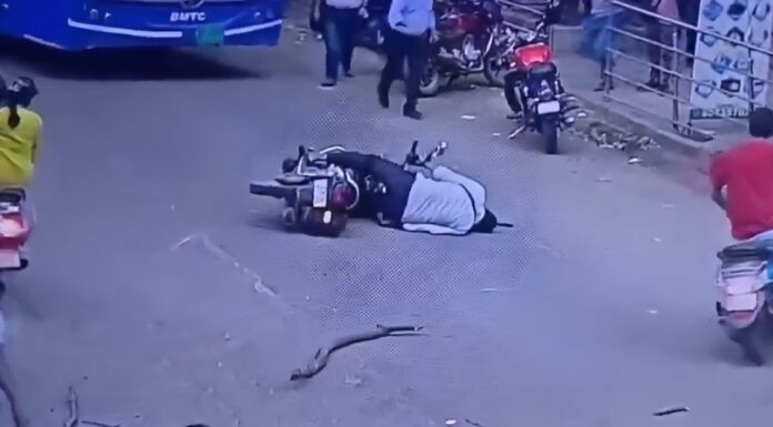 Viral Video Shows Tree Branch Hitting Helmetless Biker In Bengaluru; Rider Critically Hurt Viral Video Shows Tree Branch Hitting Helmetless Biker In Bengaluru; Rider Critically Hurt