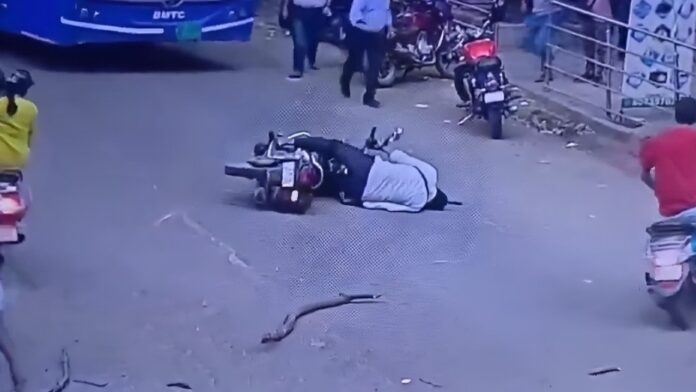 Viral Video Shows Tree Branch Hitting Helmetless Biker In Bengaluru; Rider Critically Hurt