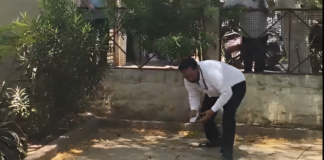 Money Rain’ In Bulandshahr: Monkey Climbs Tree With Rs 2 Lakh, Scatters Notes Money Rain’ In Bulandshahr: Monkey Climbs Tree With Rs 2 Lakh, Scatters Notes