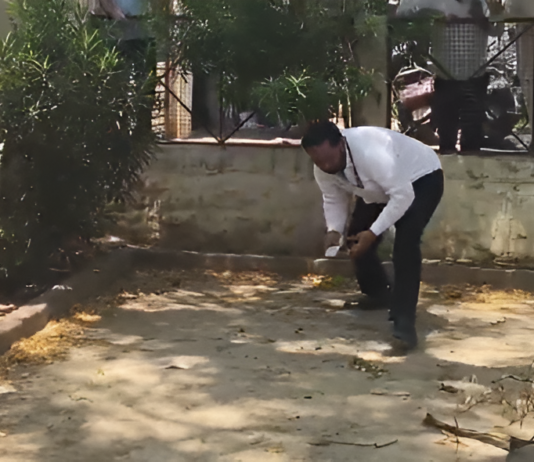 Money Rain’ In Bulandshahr: Monkey Climbs Tree With Rs 2 Lakh, Scatters Notes Money Rain’ In Bulandshahr: Monkey Climbs Tree With Rs 2 Lakh, Scatters Notes