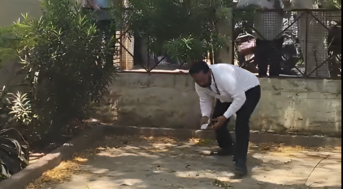 Money Rain’ In Bulandshahr: Monkey Climbs Tree With Rs 2 Lakh, Scatters Notes Money Rain’ In Bulandshahr: Monkey Climbs Tree With Rs 2 Lakh, Scatters Notes