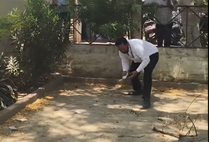 Money Rain’ In Bulandshahr: Monkey Climbs Tree With Rs 2 Lakh, Scatters Notes Money Rain’ In Bulandshahr: Monkey Climbs Tree With Rs 2 Lakh, Scatters Notes