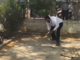 Money Rain’ In Bulandshahr: Monkey Climbs Tree With Rs 2 Lakh, Scatters Notes Money Rain’ In Bulandshahr: Monkey Climbs Tree With Rs 2 Lakh, Scatters Notes