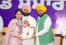 CM Bhagwant Mann Hands Over 355 Job Letters, Reiterates Merit-Based Recruitment in Punjab